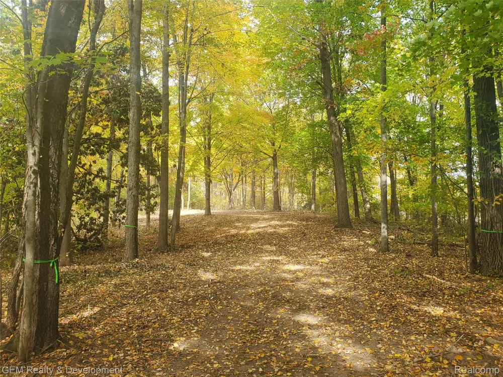 5700 Seven Mile Road Salem Township, MI 48178