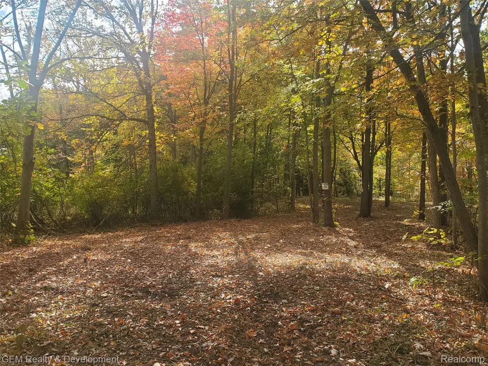 5700 Seven Mile Road Salem Township, MI 48178