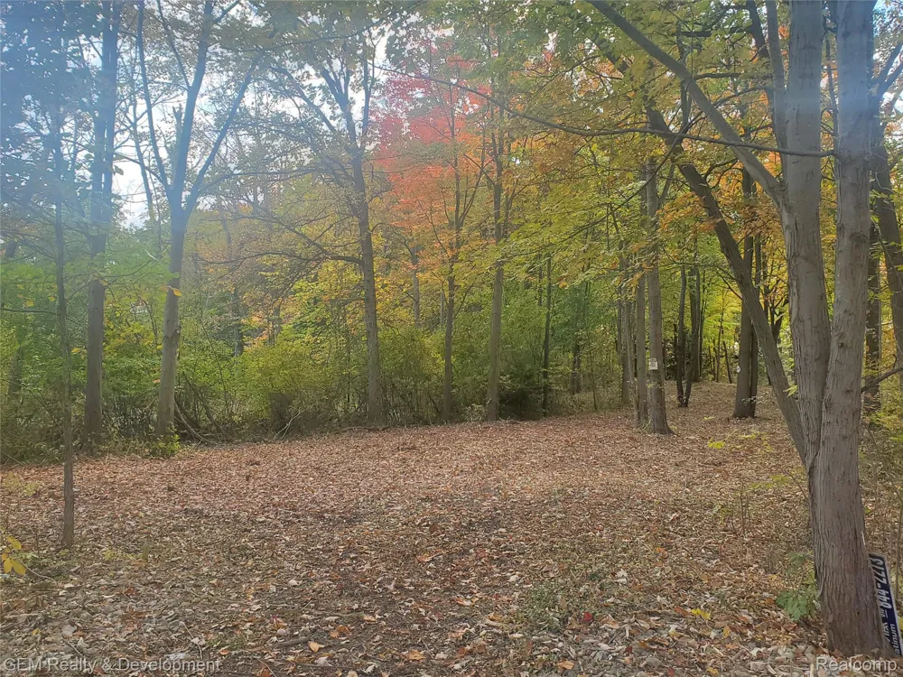 5700 Seven Mile Road Salem Township, MI 48178