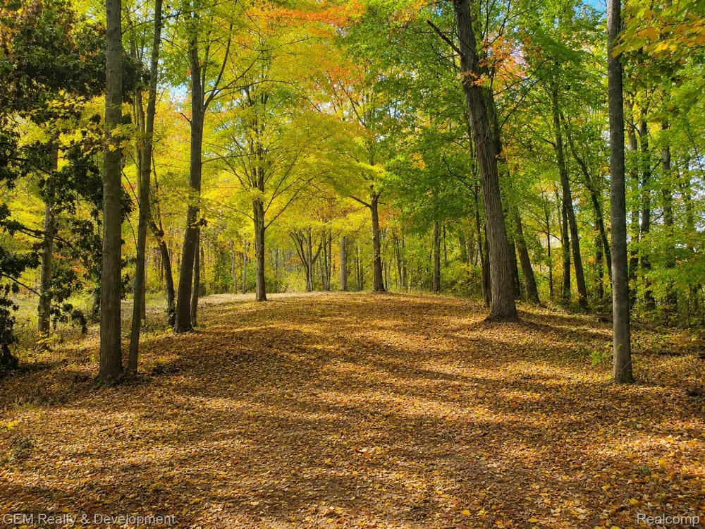 5700 Seven Mile Road Salem Township, MI 48178