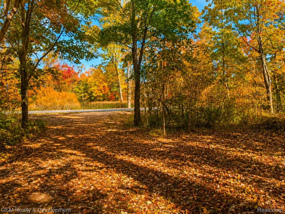 5700 Seven Mile Road Salem Township, MI 48178