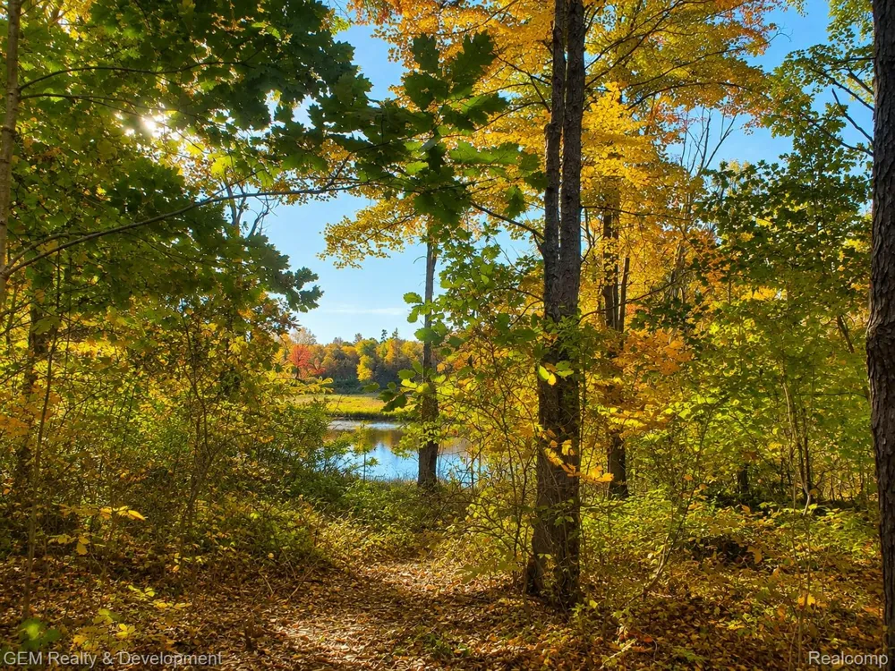 5700 Seven Mile Road Salem Township, MI 48178