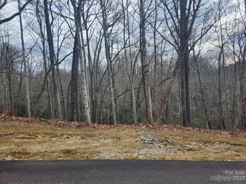 145 Ivywood Lane #10 Laurel Park, NC 28739