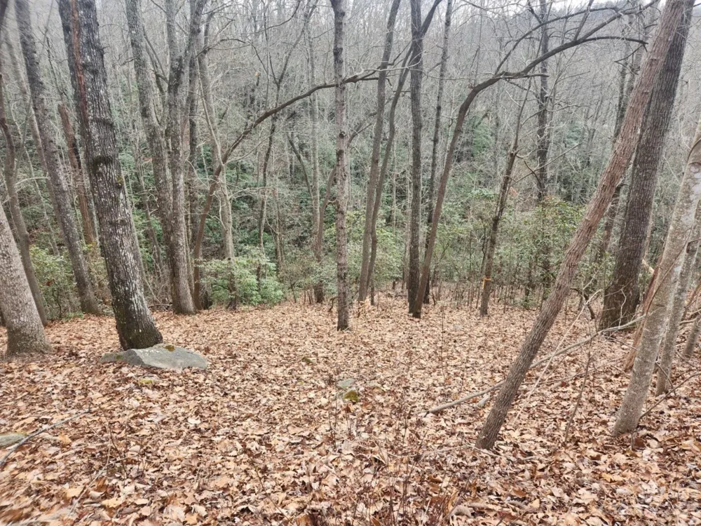 145 Ivywood Lane #10 Laurel Park, NC 28739