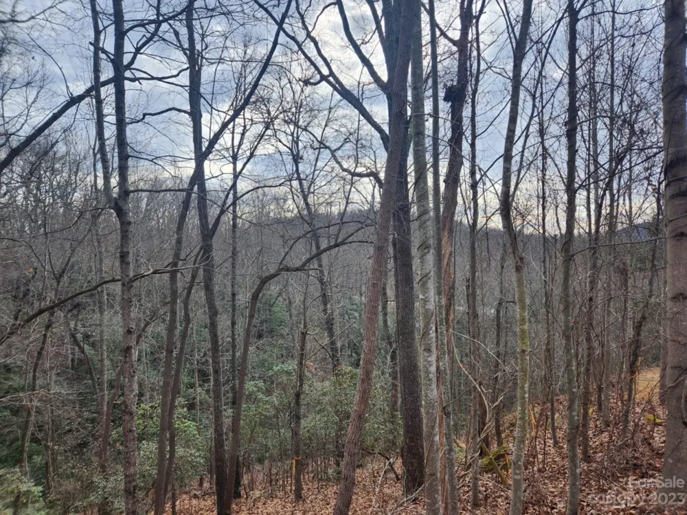 145 Ivywood Lane #10 Laurel Park, NC 28739