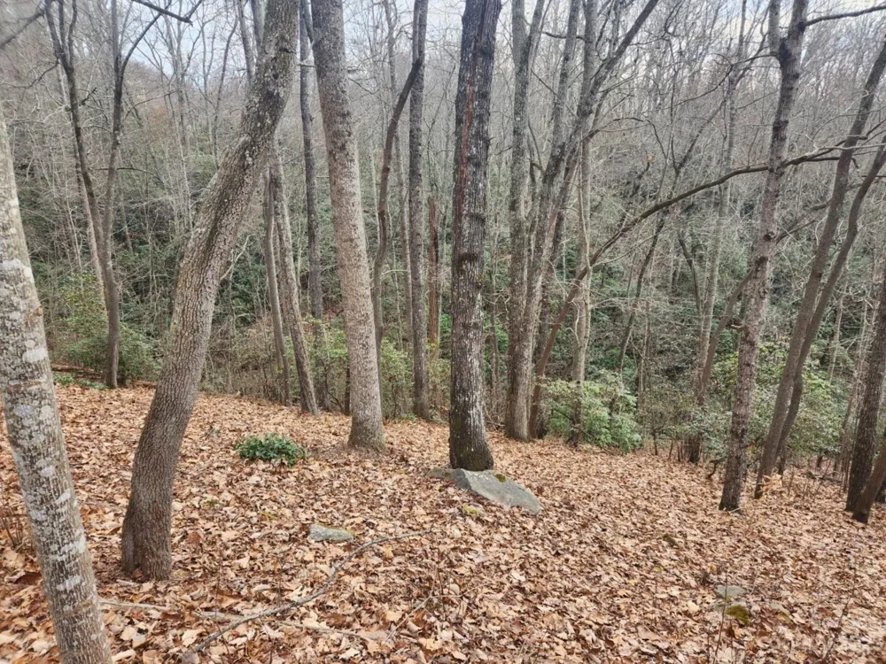 145 Ivywood Lane #10 Laurel Park, NC 28739