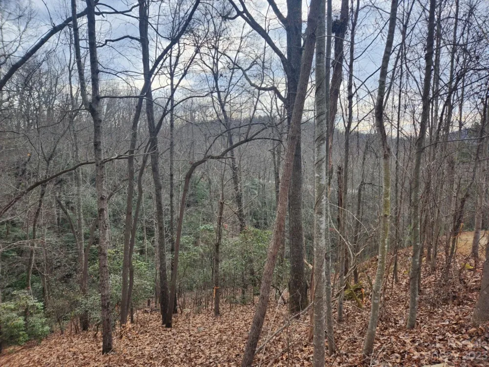 145 Ivywood Lane #10 Laurel Park, NC 28739