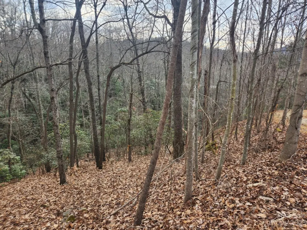 145 Ivywood Lane #10 Laurel Park, NC 28739