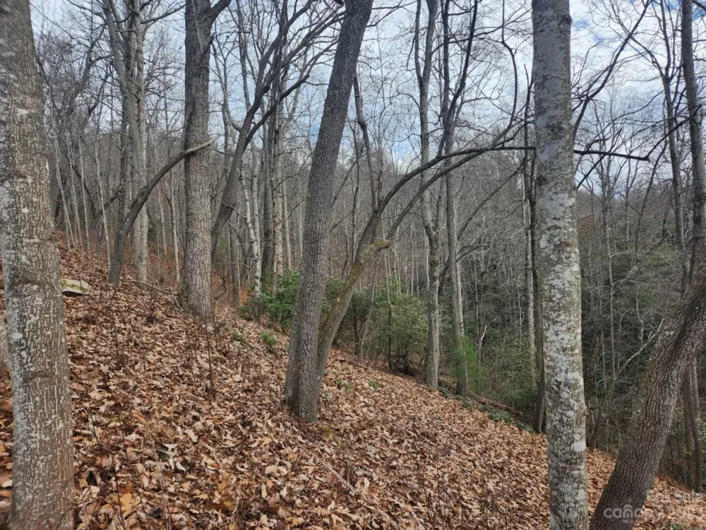 145 Ivywood Lane #10 Laurel Park, NC 28739