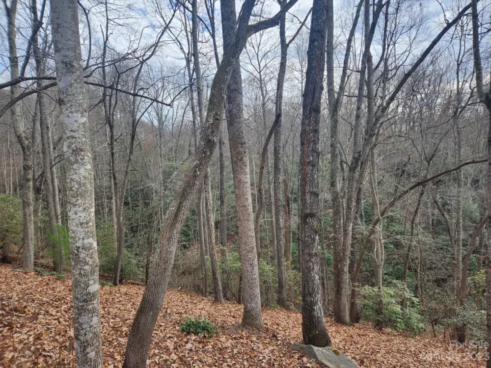 145 Ivywood Lane #10 Laurel Park, NC 28739