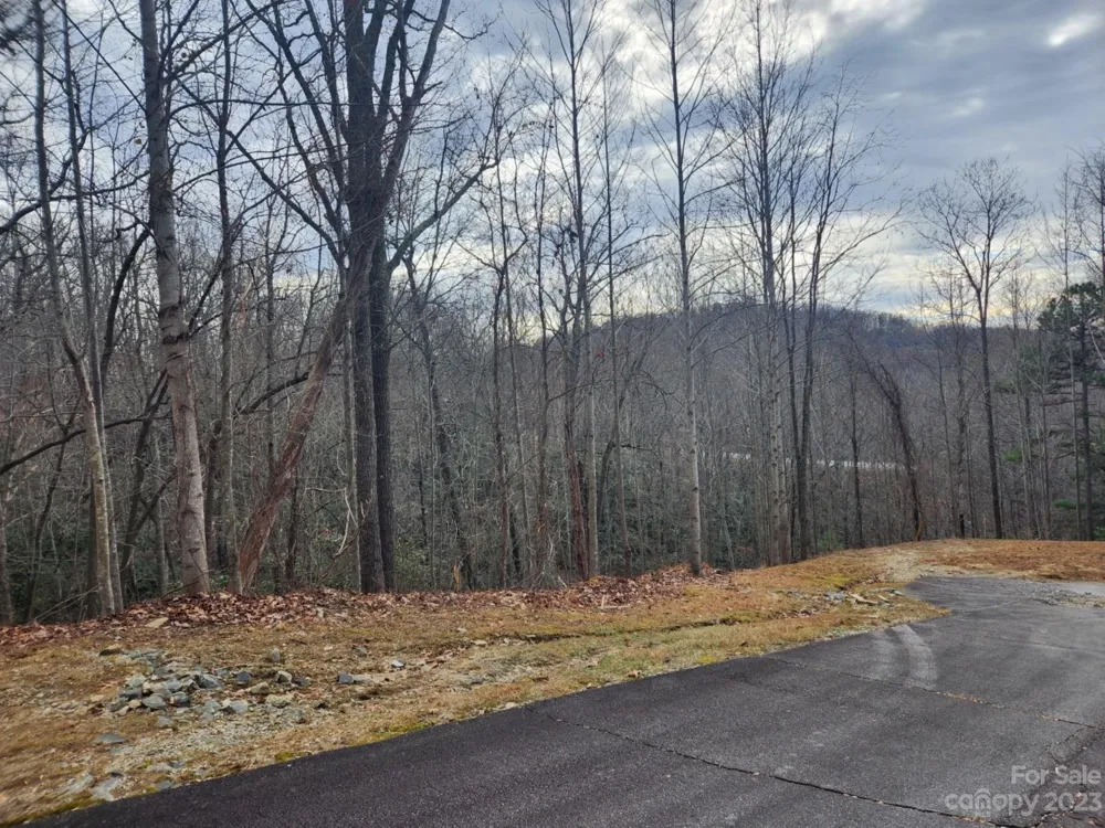 145 Ivywood Lane #10 Laurel Park, NC 28739