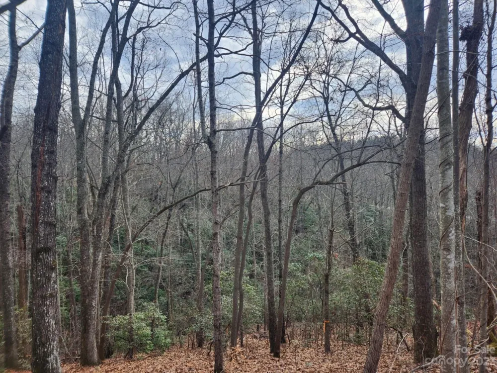145 Ivywood Lane #10 Laurel Park, NC 28739