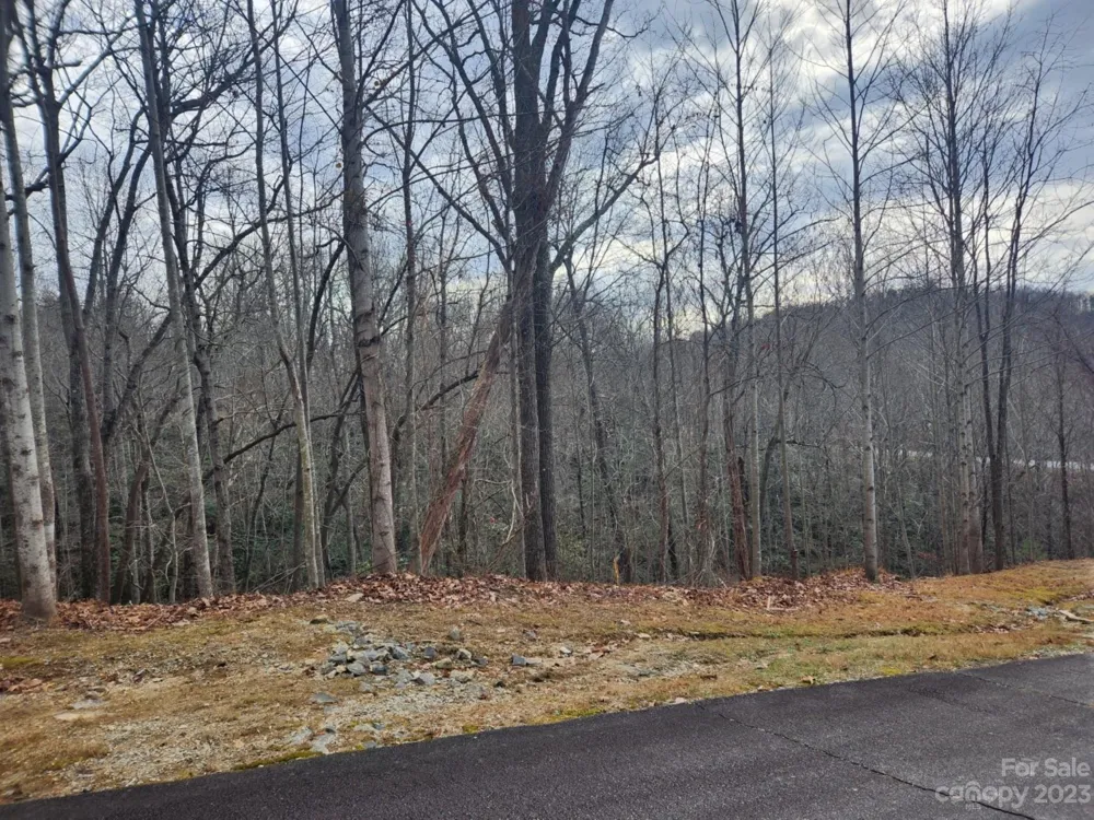 145 Ivywood Lane #10 Laurel Park, NC 28739