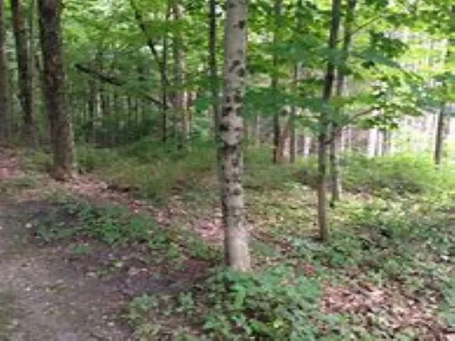 4167 Maple Hill Road Blair Township, MI 49637