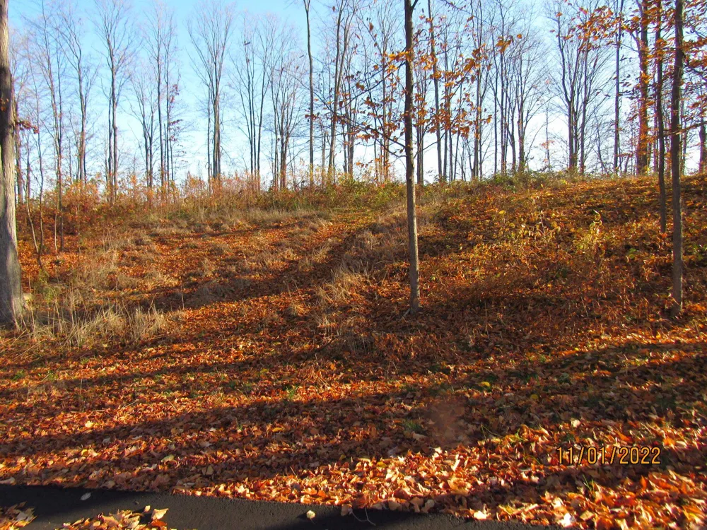 4167 Maple Hill Road Blair Township, MI 49637