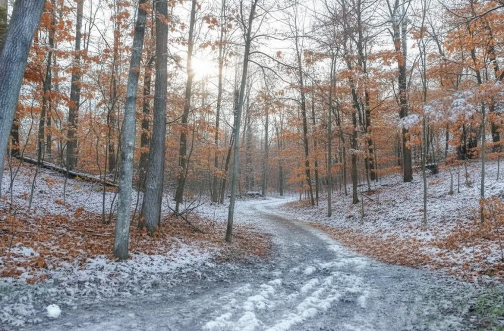 4167 Maple Hill Road Blair Township, MI 49637