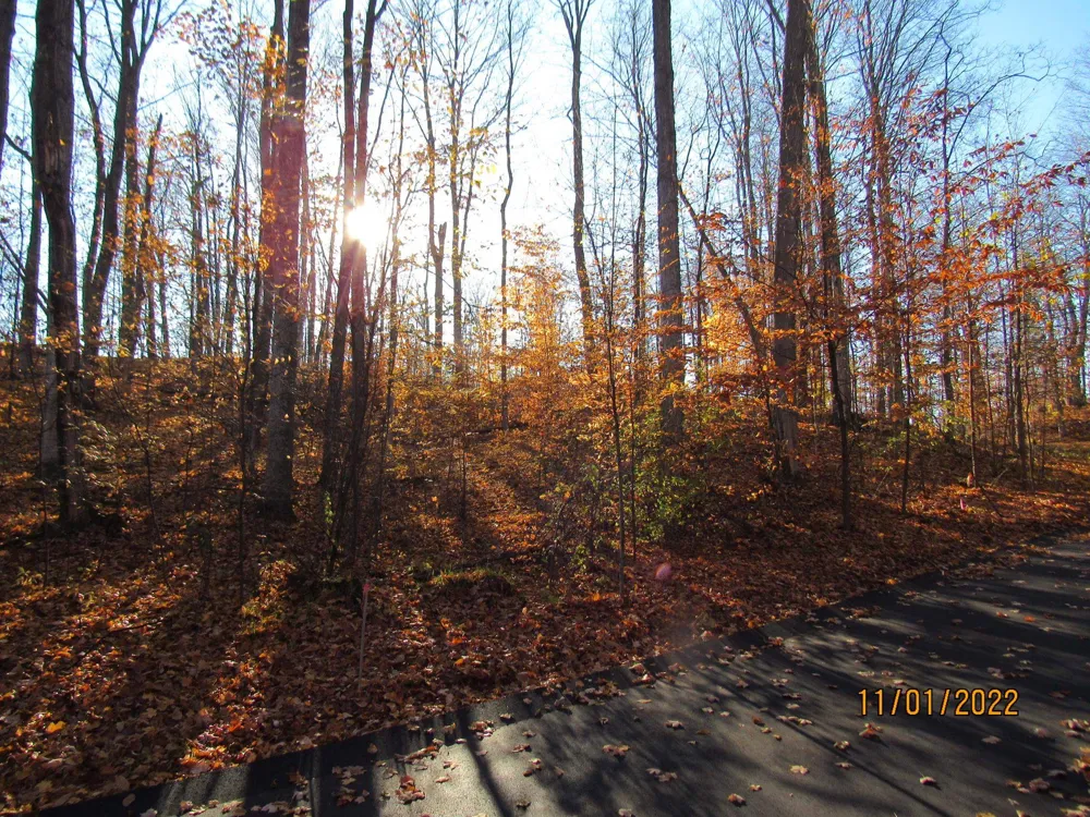 4167 Maple Hill Road Blair Township, MI 49637