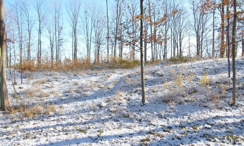 4167 Maple Hill Road Blair Township, MI 49637
