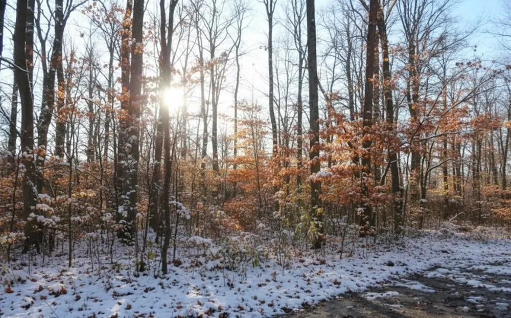 4167 Maple Hill Road Blair Township, MI 49637