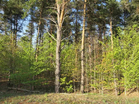 4169 Maple Hill Road
