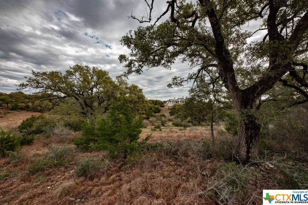 1218 Pinot Noir New Braunfels, TX 78132