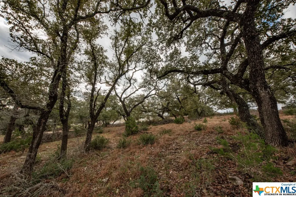 1218 Pinot Noir New Braunfels, TX 78132