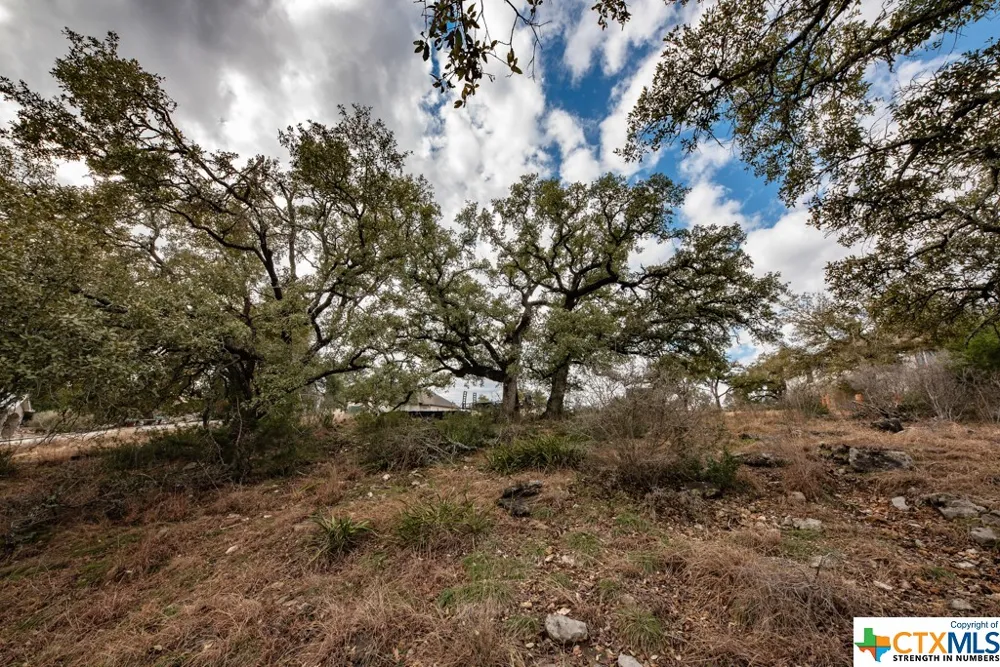 1218 Pinot Noir New Braunfels, TX 78132