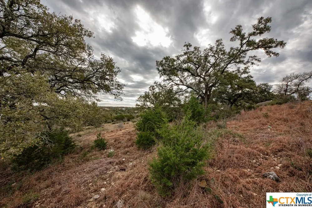 1218 Pinot Noir New Braunfels, TX 78132