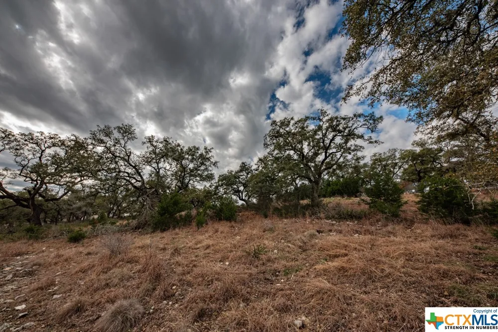 1218 Pinot Noir New Braunfels, TX 78132