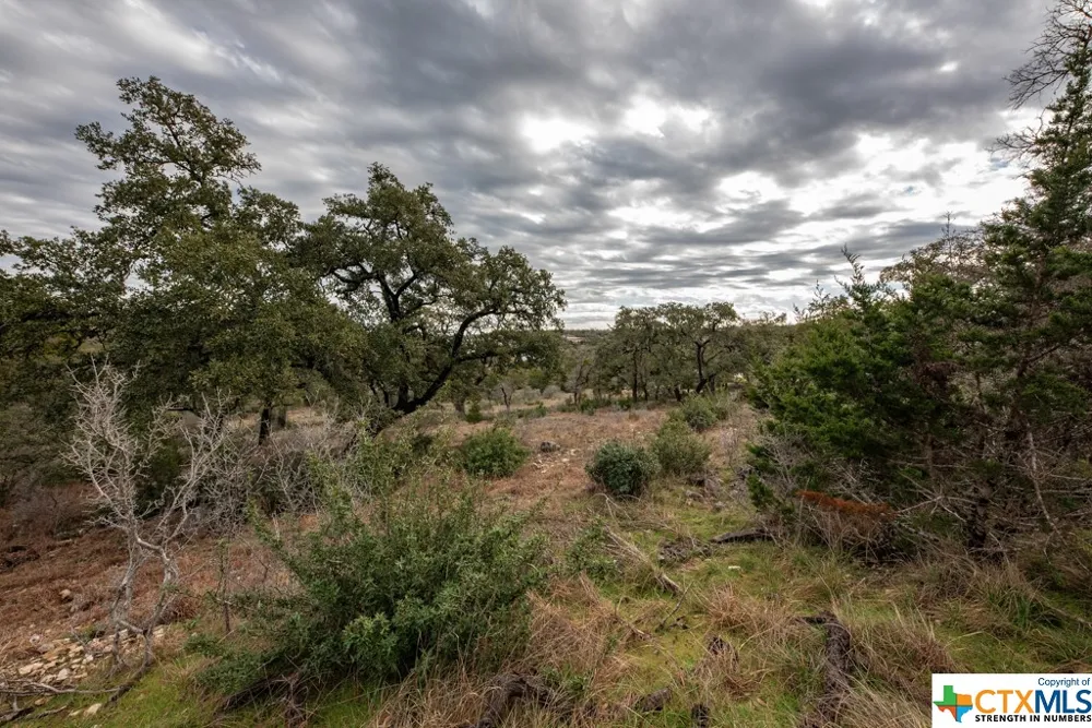 1218 Pinot Noir New Braunfels, TX 78132