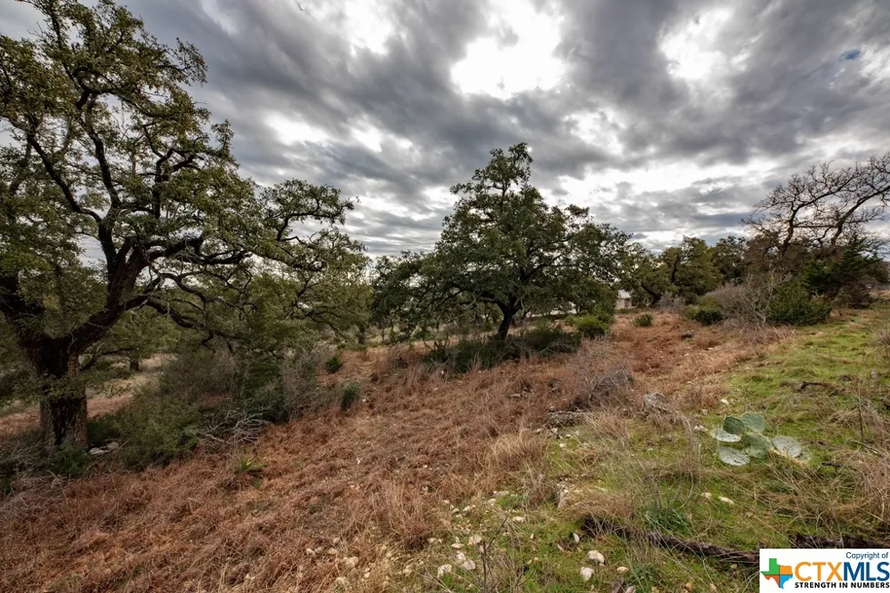 1218 Pinot Noir New Braunfels, TX 78132