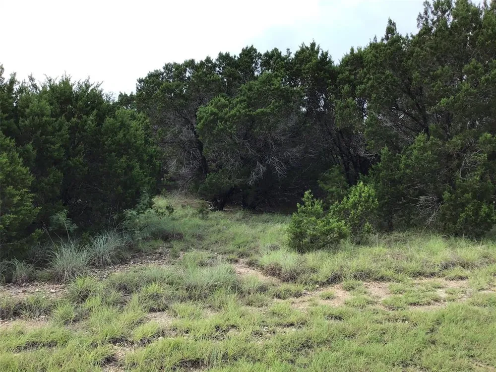 43020 Whisperwood Drive Whitney, TX 76692