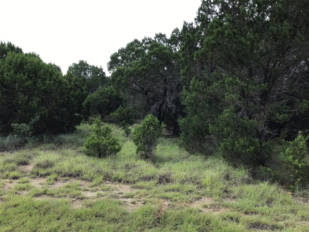 43020 Whisperwood Drive Whitney, TX 76692