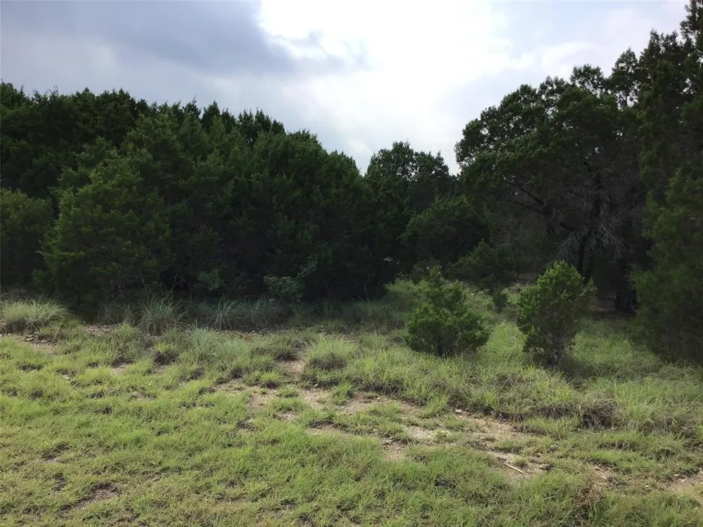43020 Whisperwood Drive Whitney, TX 76692