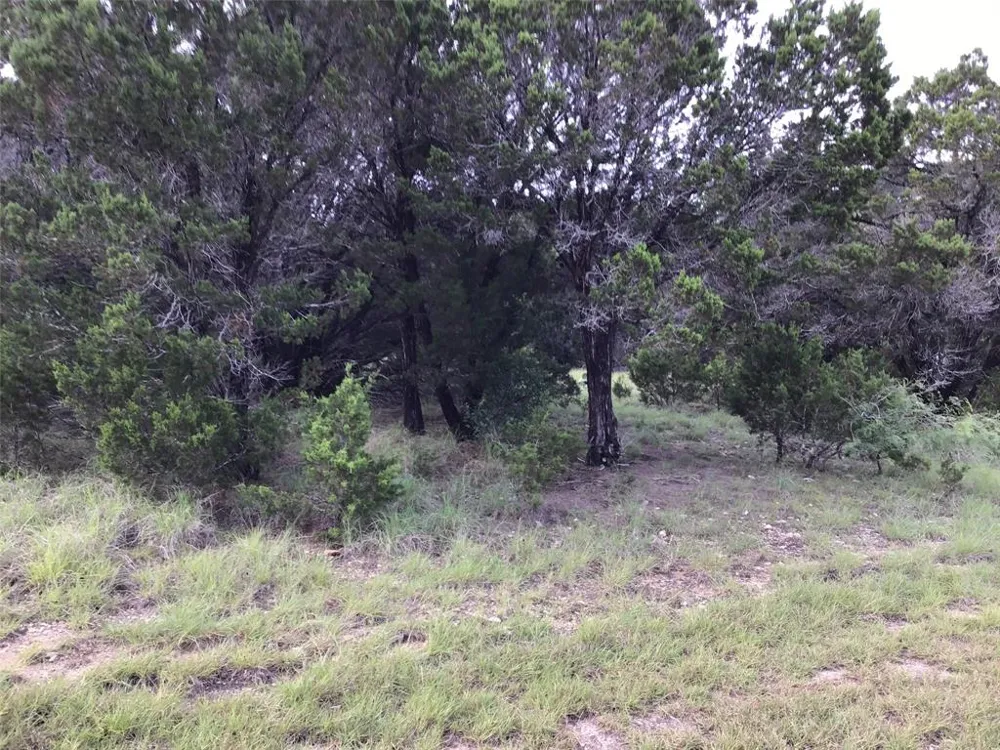 43020 Whisperwood Drive Whitney, TX 76692