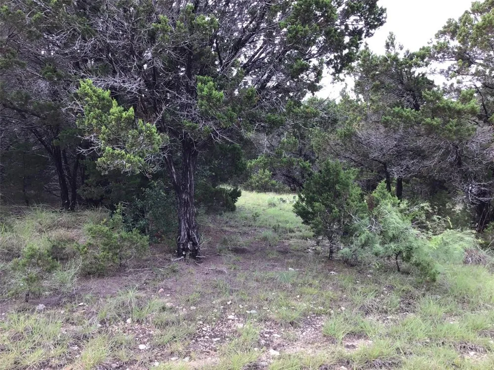 43020 Whisperwood Drive Whitney, TX 76692