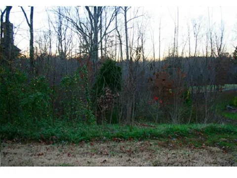 705 Croswell Court