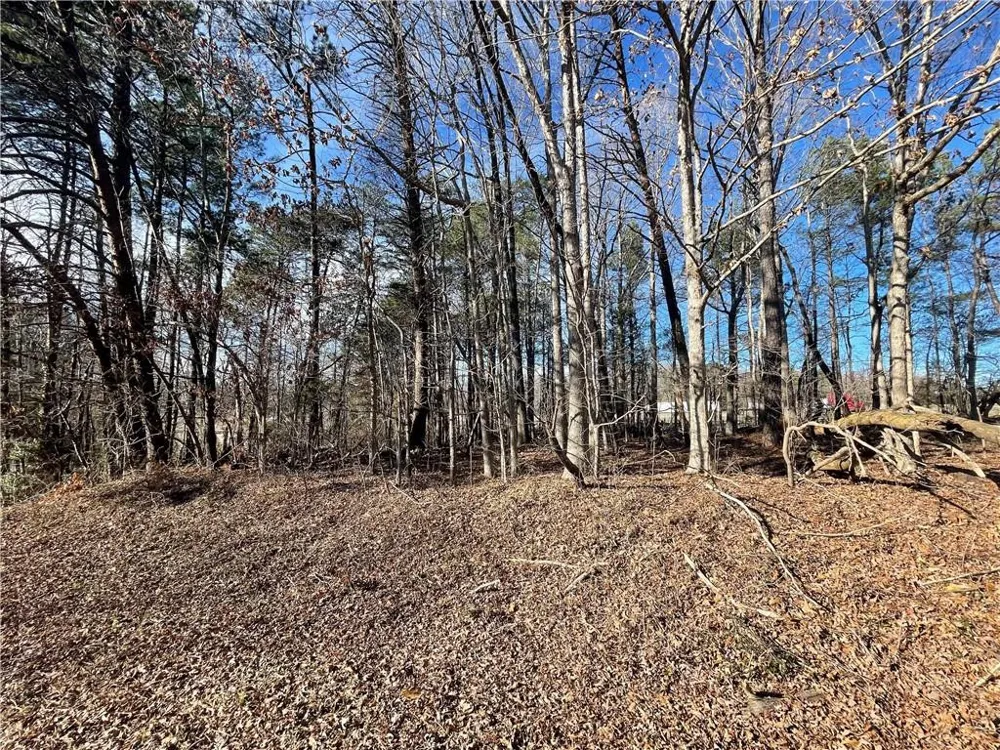 3605 W Ten Road Efland, NC 27243
