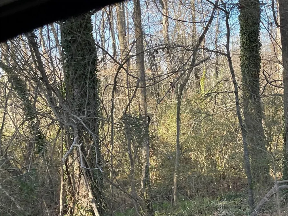 3605 W Ten Road Efland, NC 27243