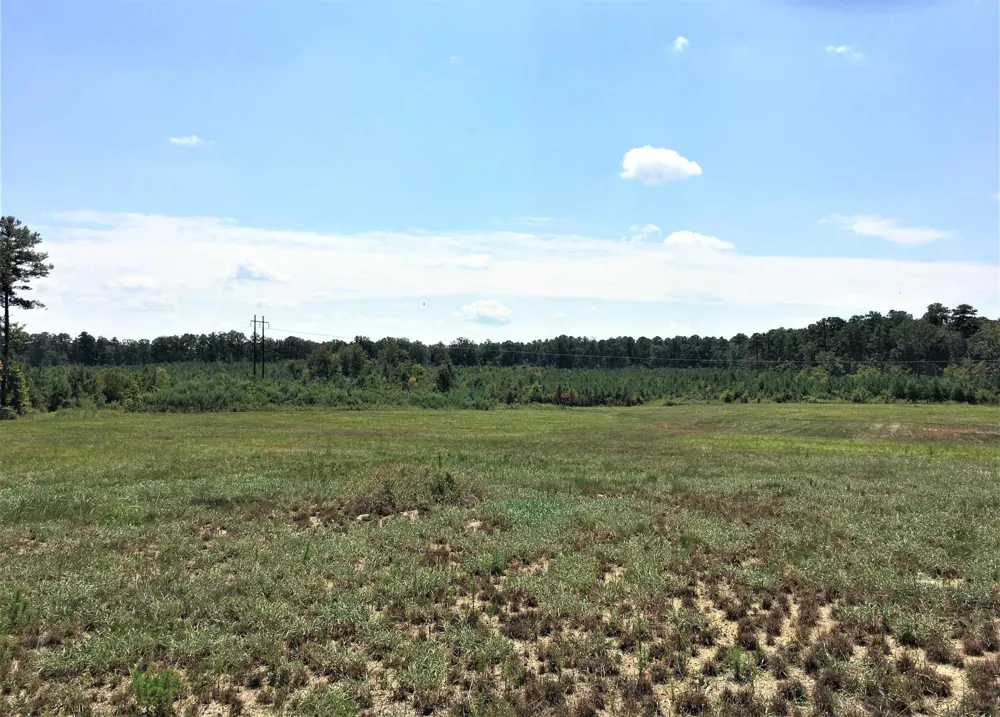 3125 W Third Street Siler City, NC 27344