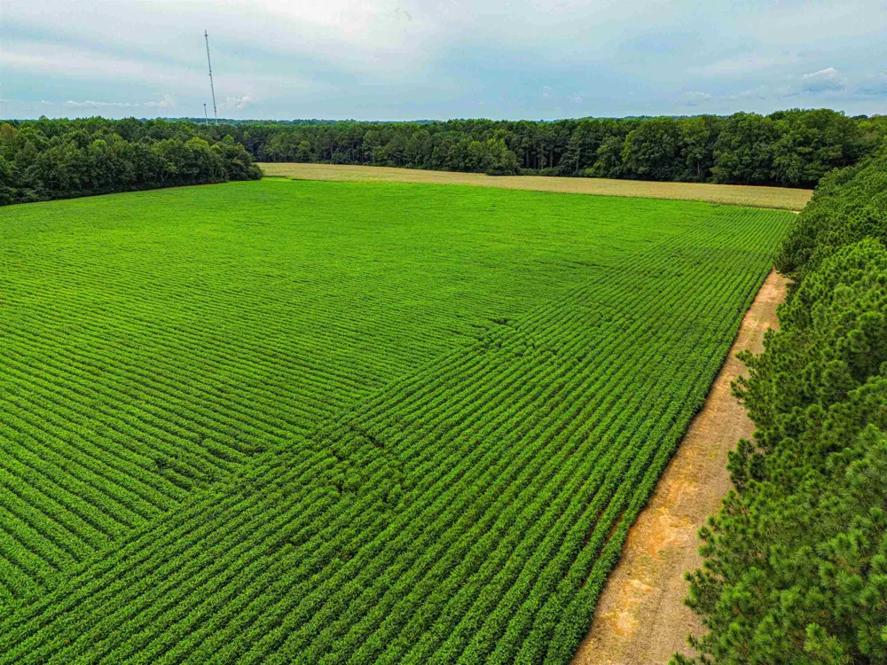 00 S Nc 581 Highway Bailey, NC 27807