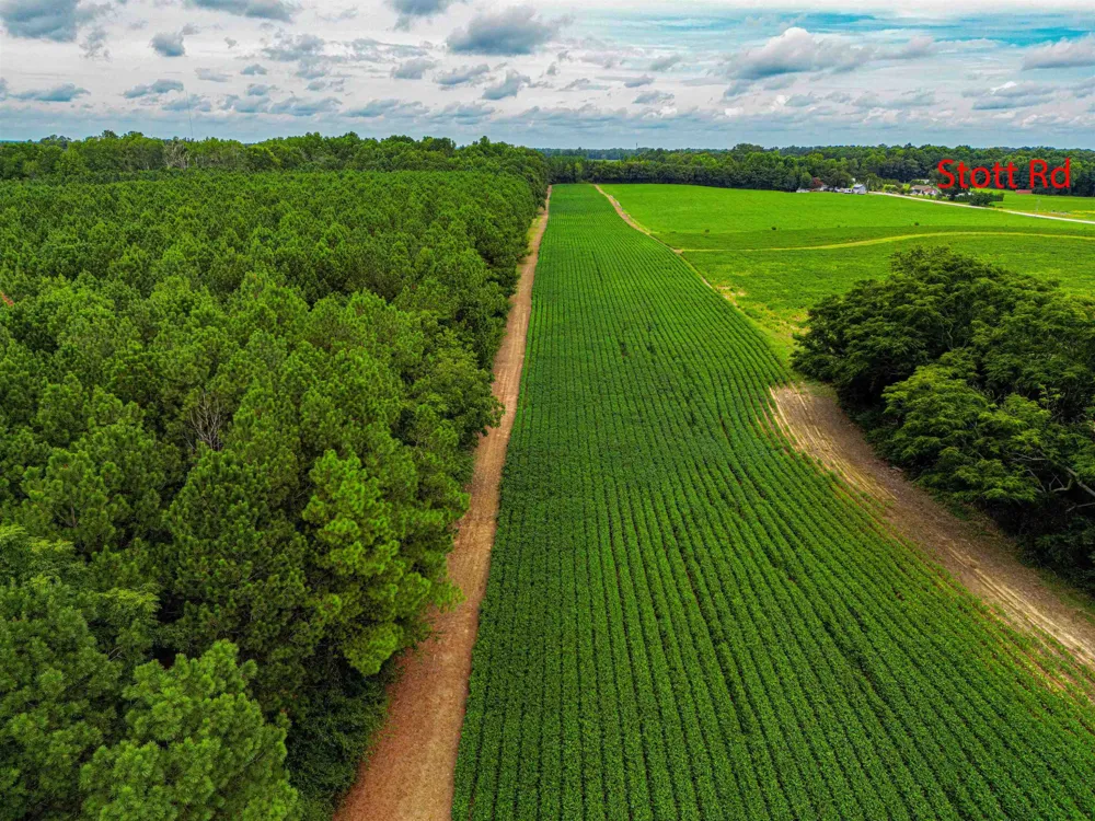 00 S Nc 581 Highway Bailey, NC 27807