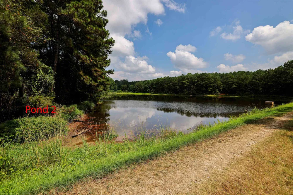 00 S Nc 581 Highway Bailey, NC 27807