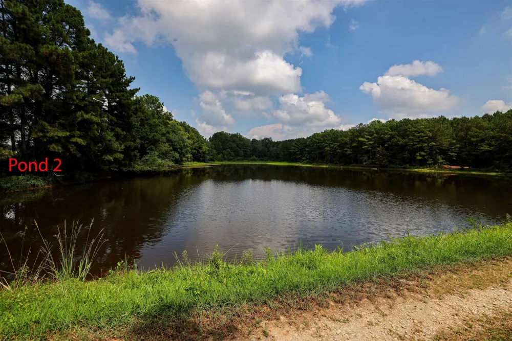 00 S Nc 581 Highway Bailey, NC 27807