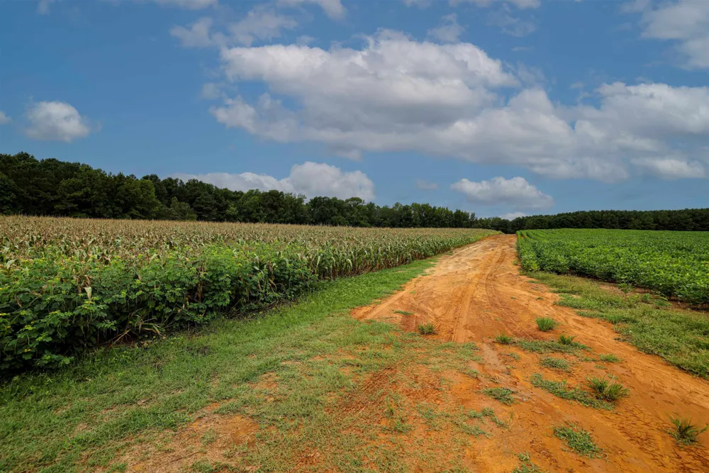 00 S Nc 581 Highway Bailey, NC 27807