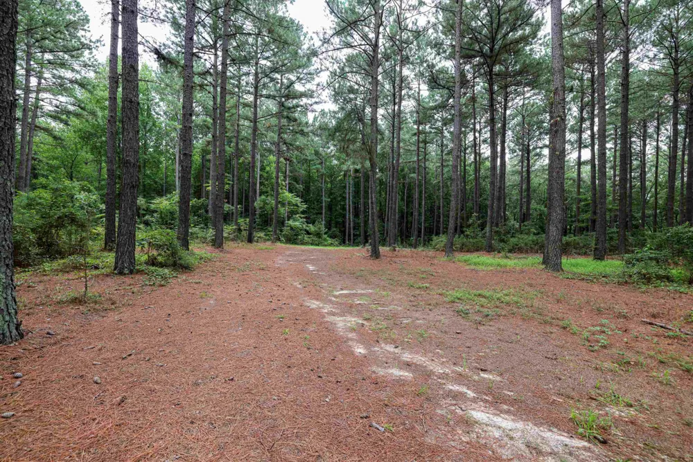 00 S Nc 581 Highway Bailey, NC 27807