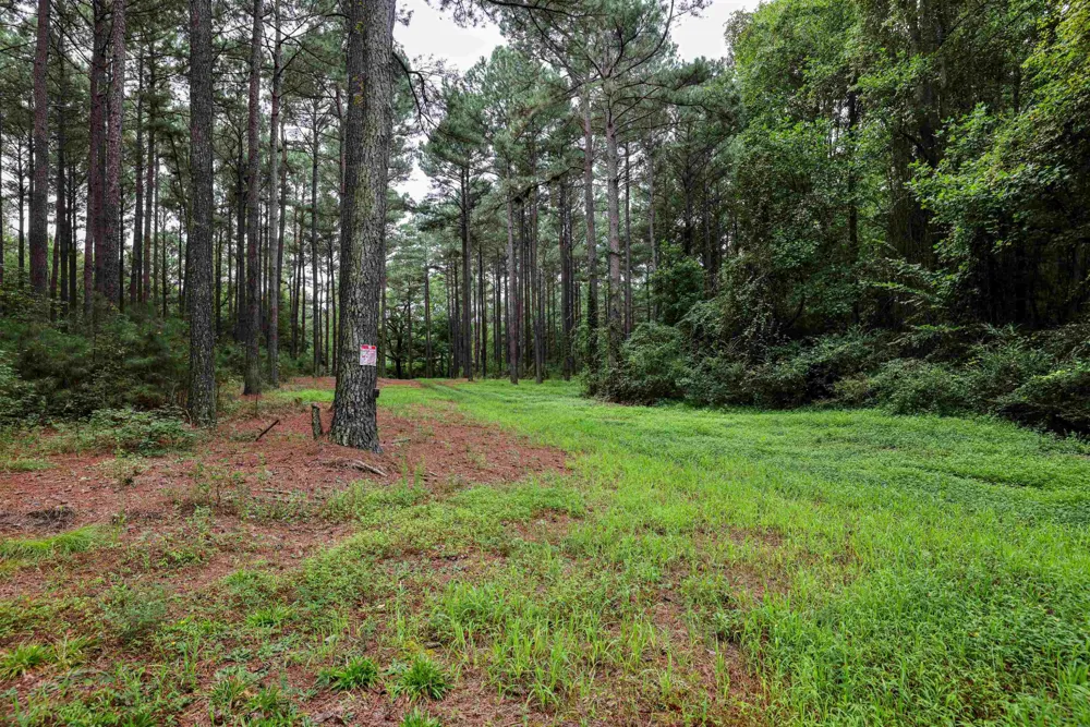 00 S Nc 581 Highway Bailey, NC 27807