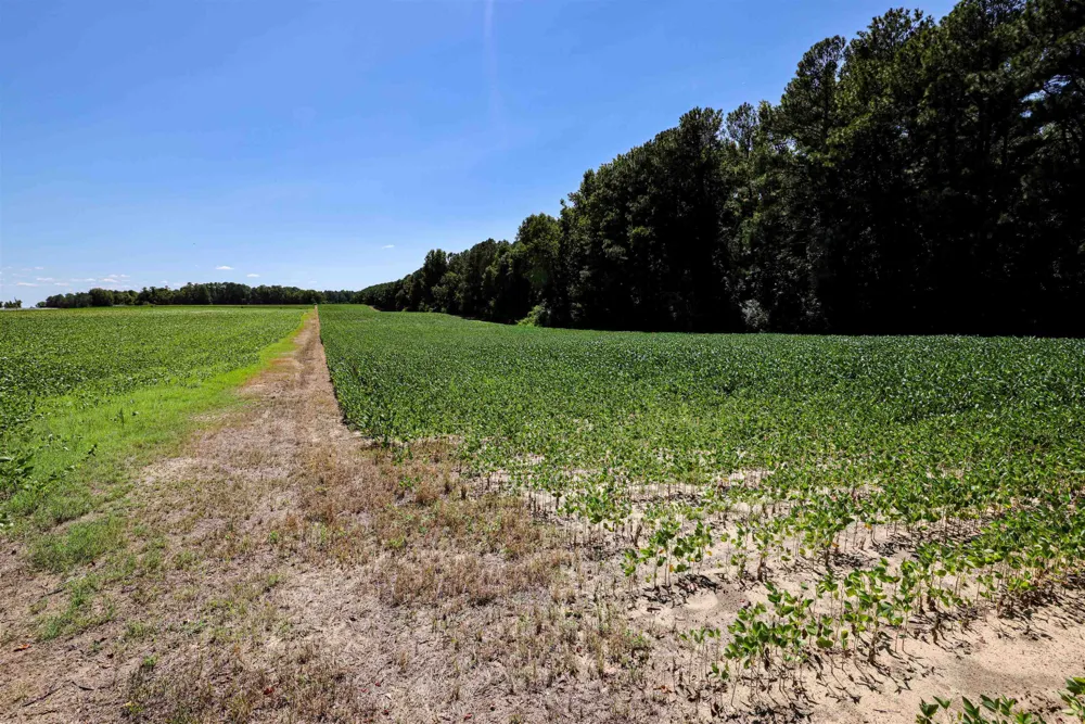 00 S Nc 581 Highway Bailey, NC 27807