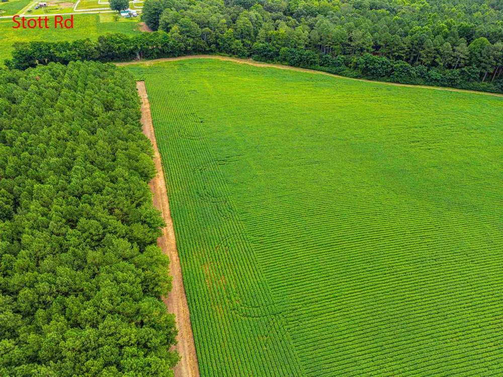 00 S Nc 581 Highway Bailey, NC 27807