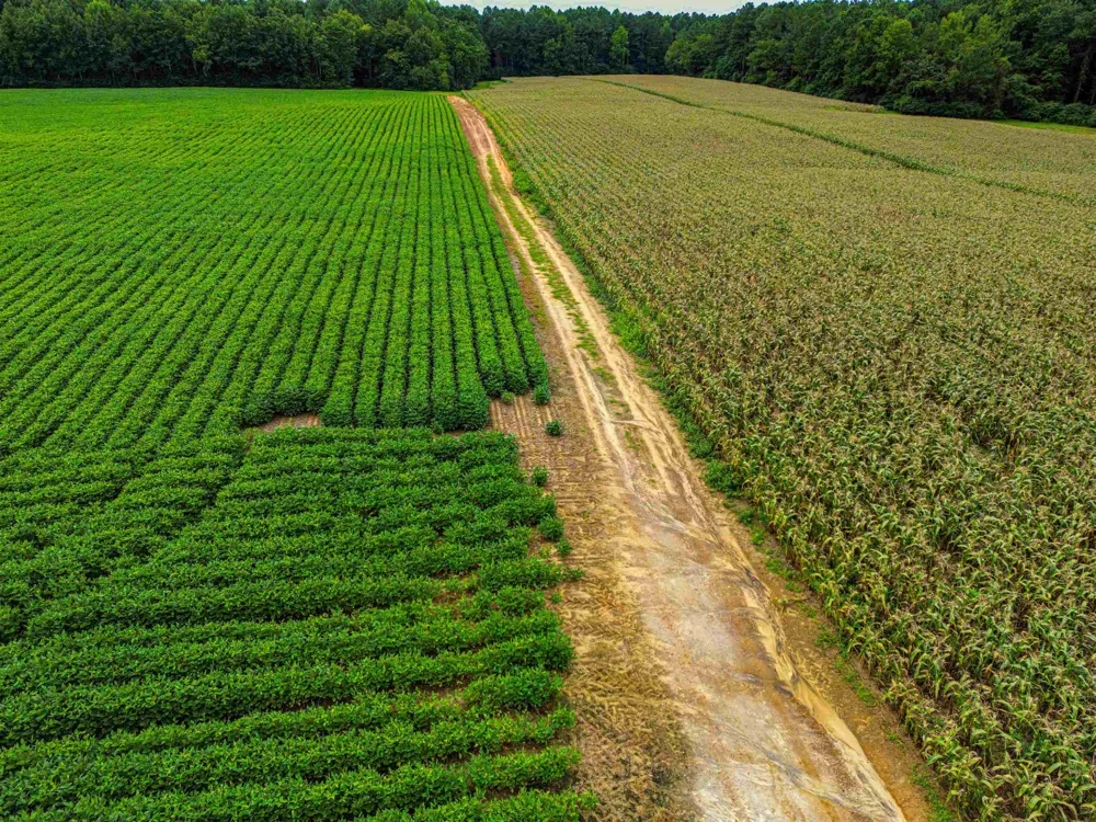 00 S Nc 581 Highway Bailey, NC 27807